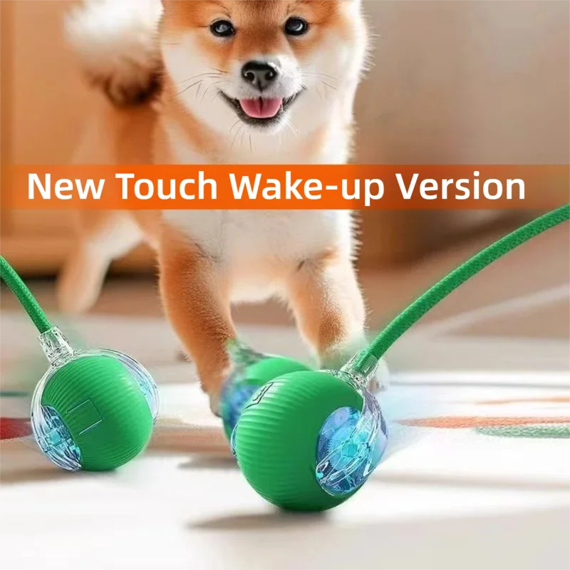 Pet Toys